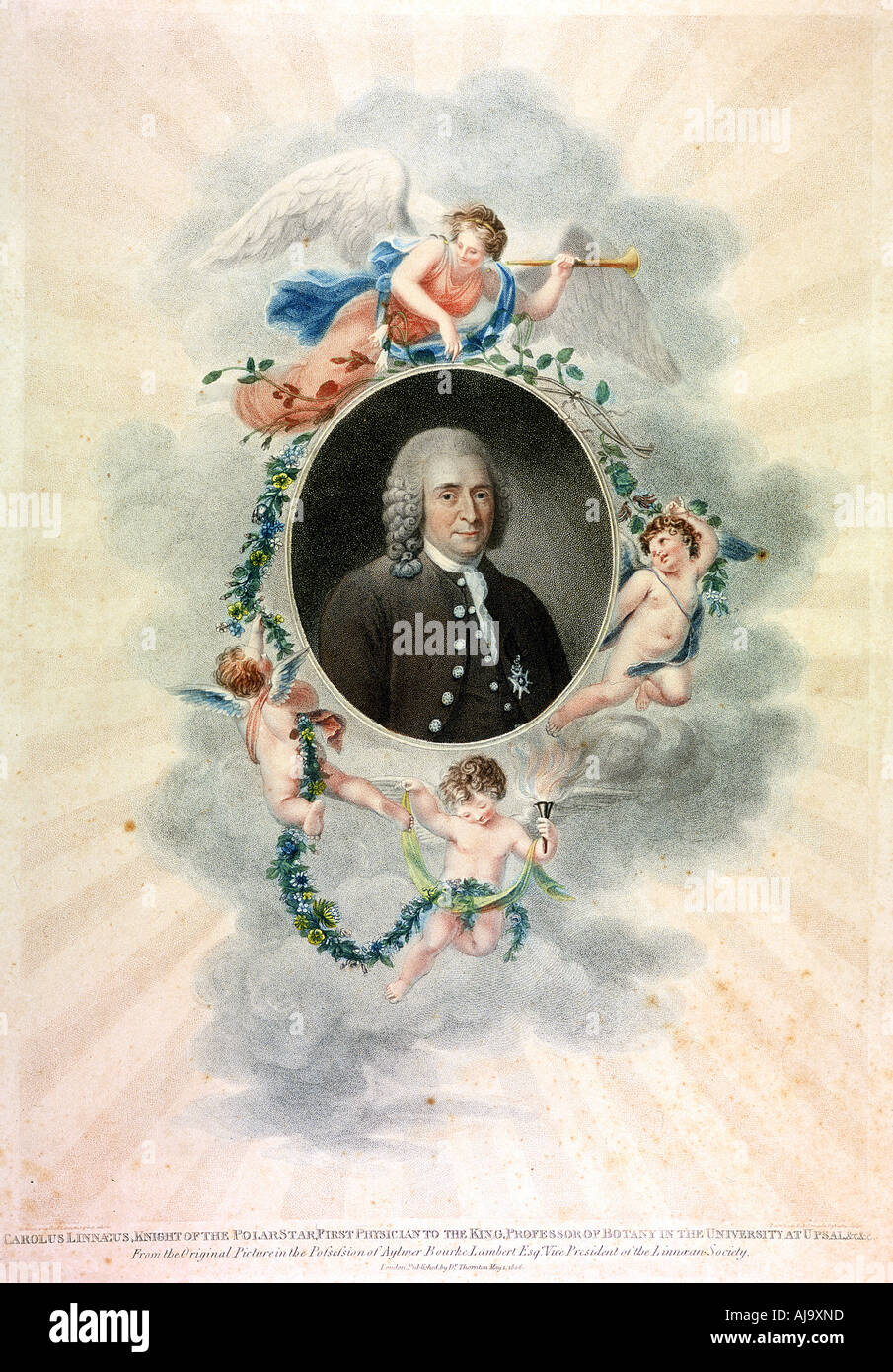 Carolus Linnaeus, schwedischer Naturforscher und Arzt, 1807. Artist: Unbekannt Stockfoto