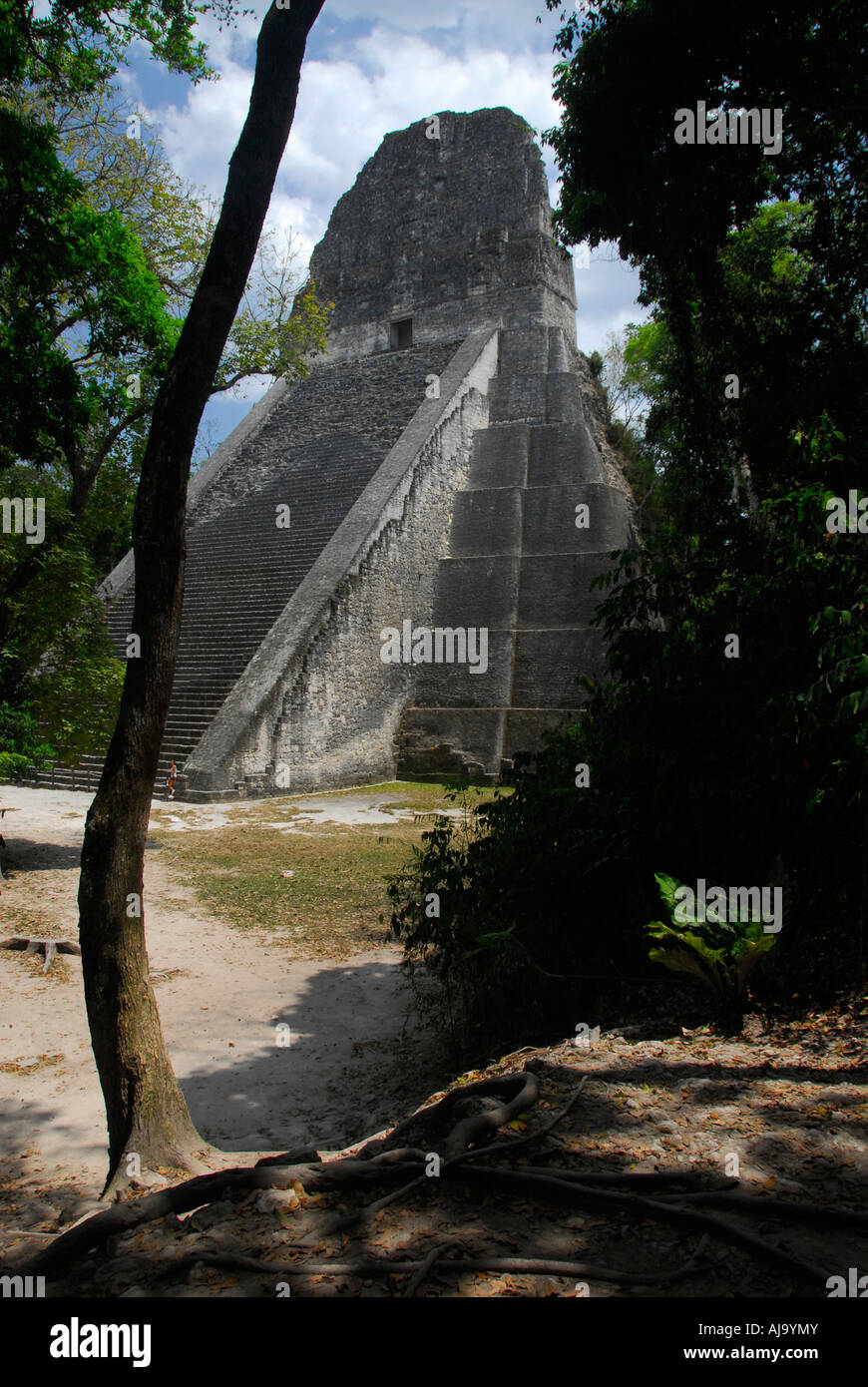 Tempel V, Tikal Ruinen, Petén, Guatemala, Mittelamerika Stockfoto