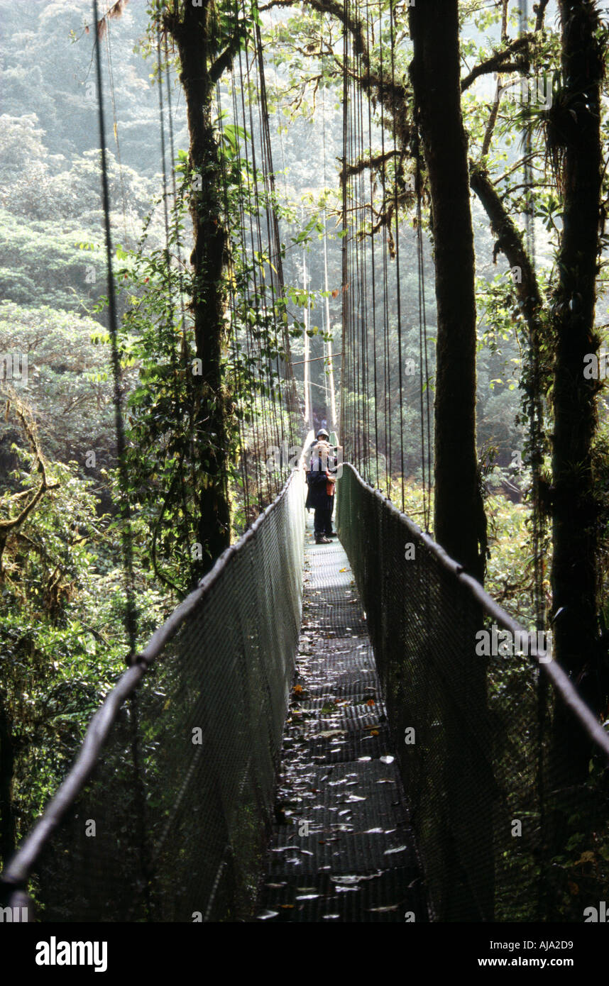 Monte Verde Nebelwald Skywalk, Costa Rica Stockfoto