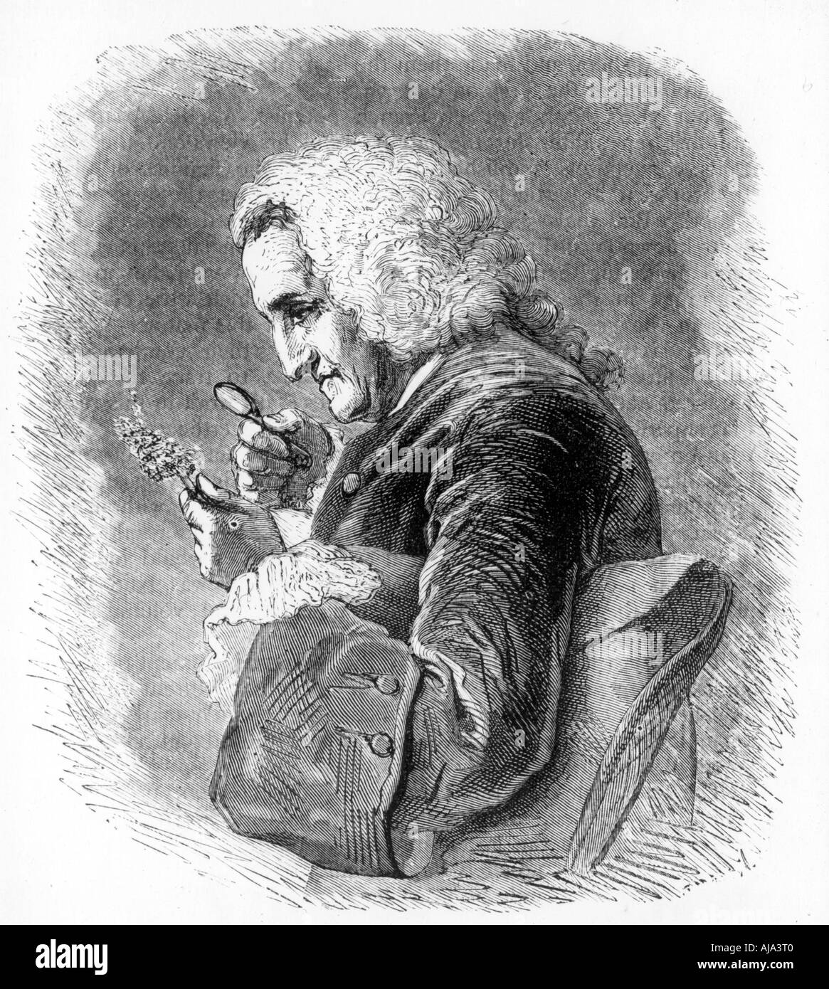 Bernard de Jussieu, 18. Jahrhundert französischer Botaniker, 1880. Artist: Unbekannt Stockfoto
