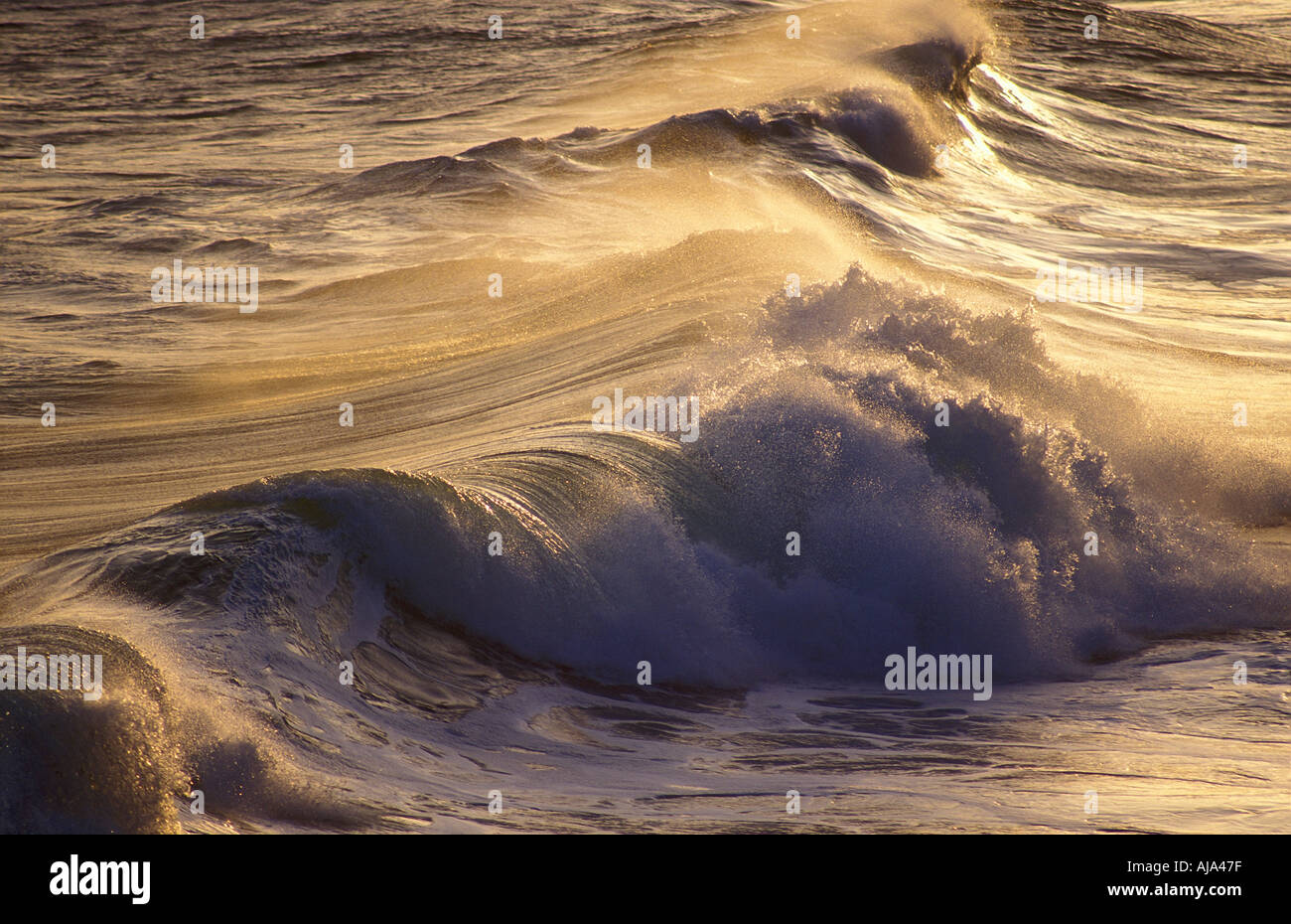 Wave Cornwall UK Stockfoto