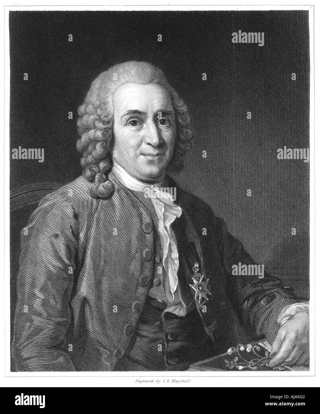 Carolus Linnaeus, 18. Jahrhundert schwedische Naturforscher, 1835. Artist: Unbekannt Stockfoto
