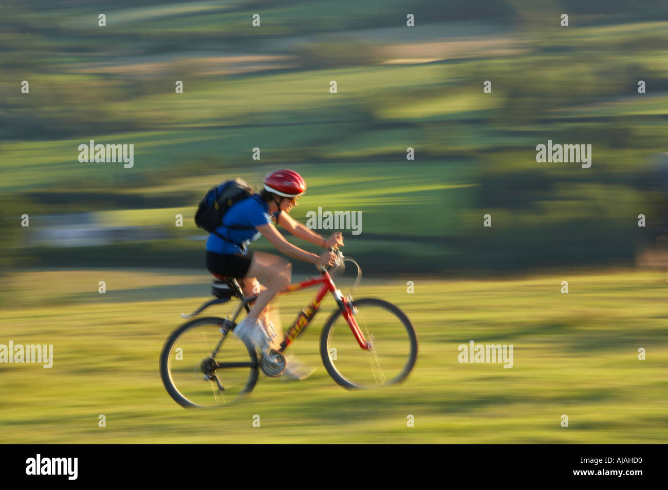 Frau auf Mountainbike Radfahren auf Hambledon Hill über die Blackmore Vale Dorset England UK Stockfoto