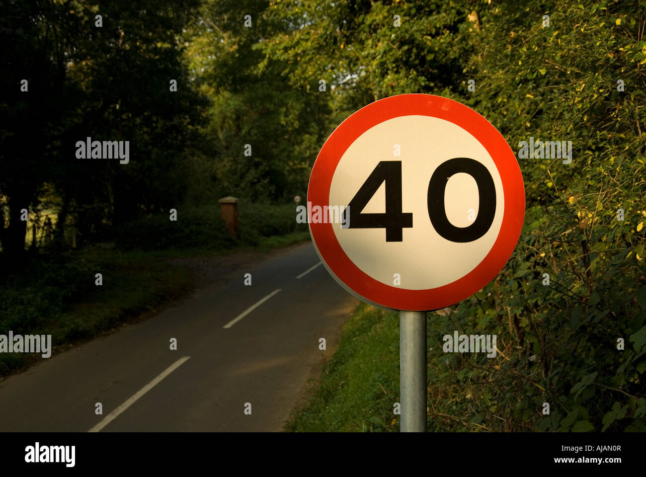 Landstraße mit 40 km/h-Schild Stockfoto