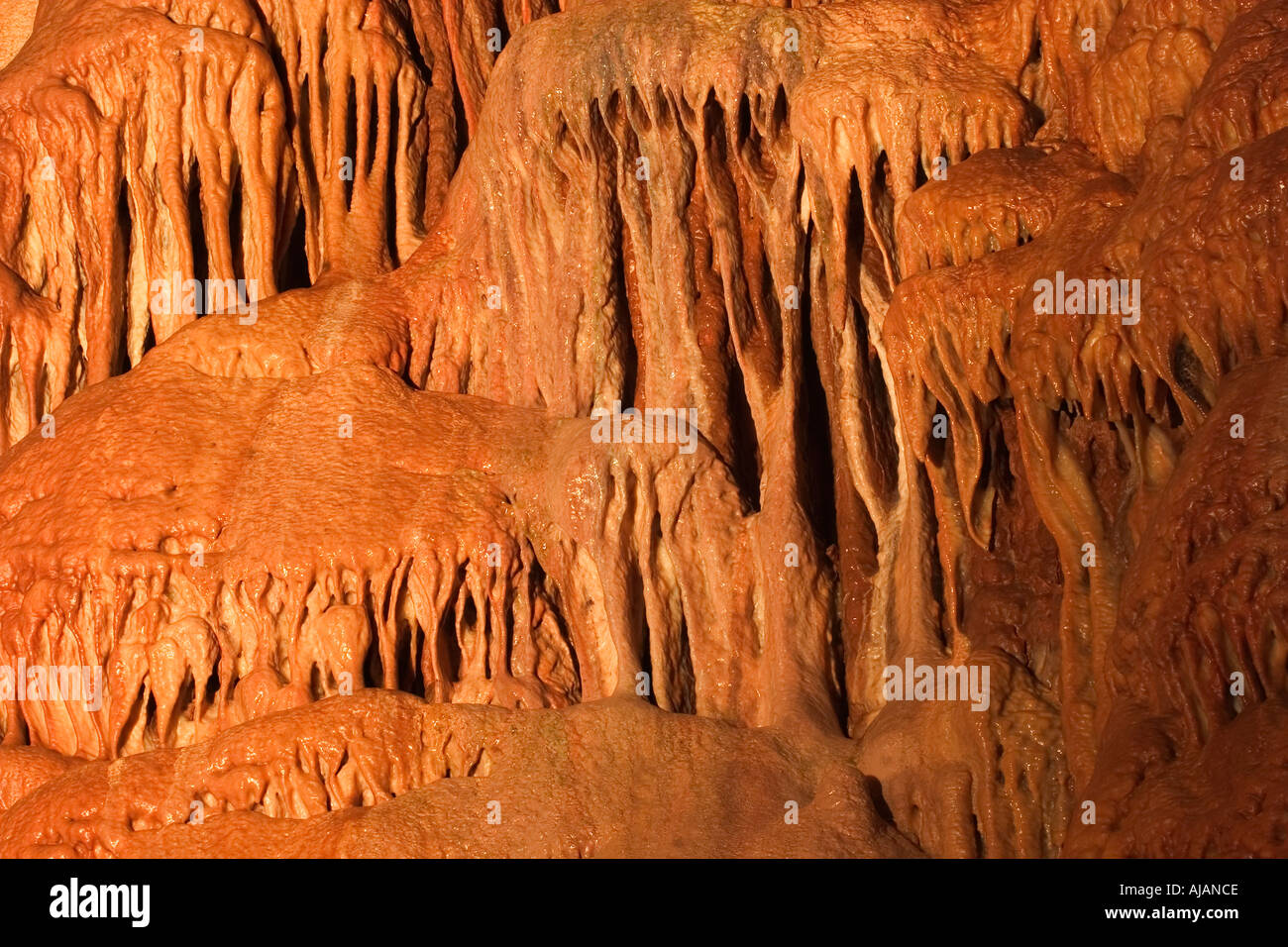 Goughs Schauhöhle in Cheddar Gorge in Somerset, England Stockfoto