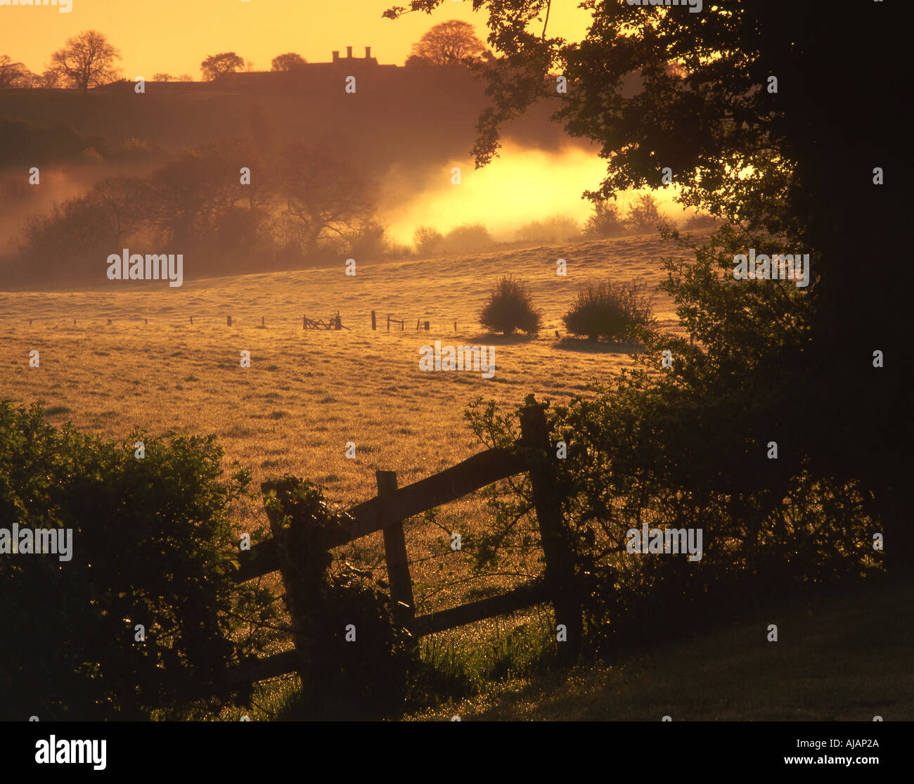 Am frühen Morgennebel und Nebel verweilt im Tal des Flusses Gowy in der Nähe von Bunbury Cheshire England UK Stockfoto