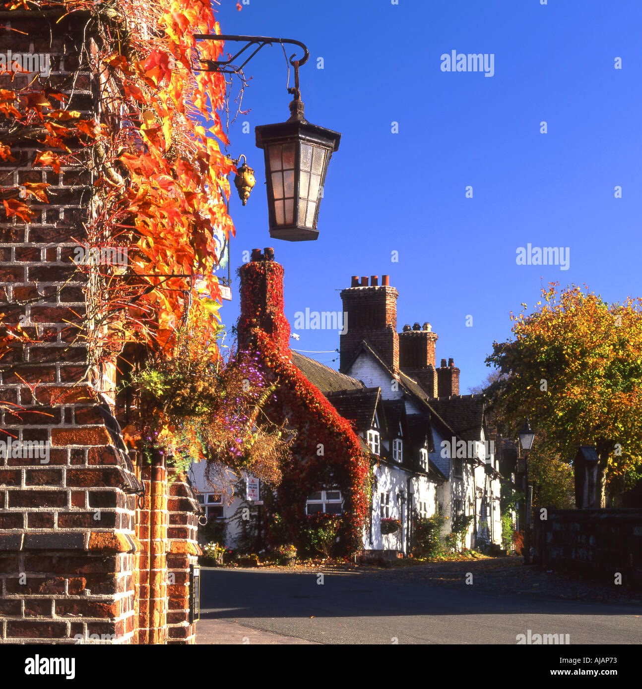 Herbstfarben am großen Budworth in der Nähe von Northwich Cheshire England UK Stockfoto