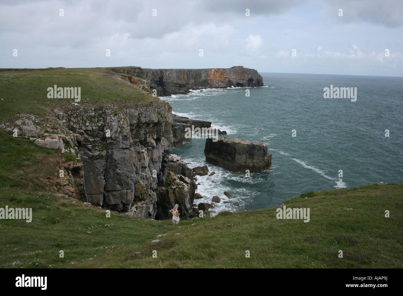 Blick nach Osten von St Govans Kopf, Pembrokeshire Stockfoto