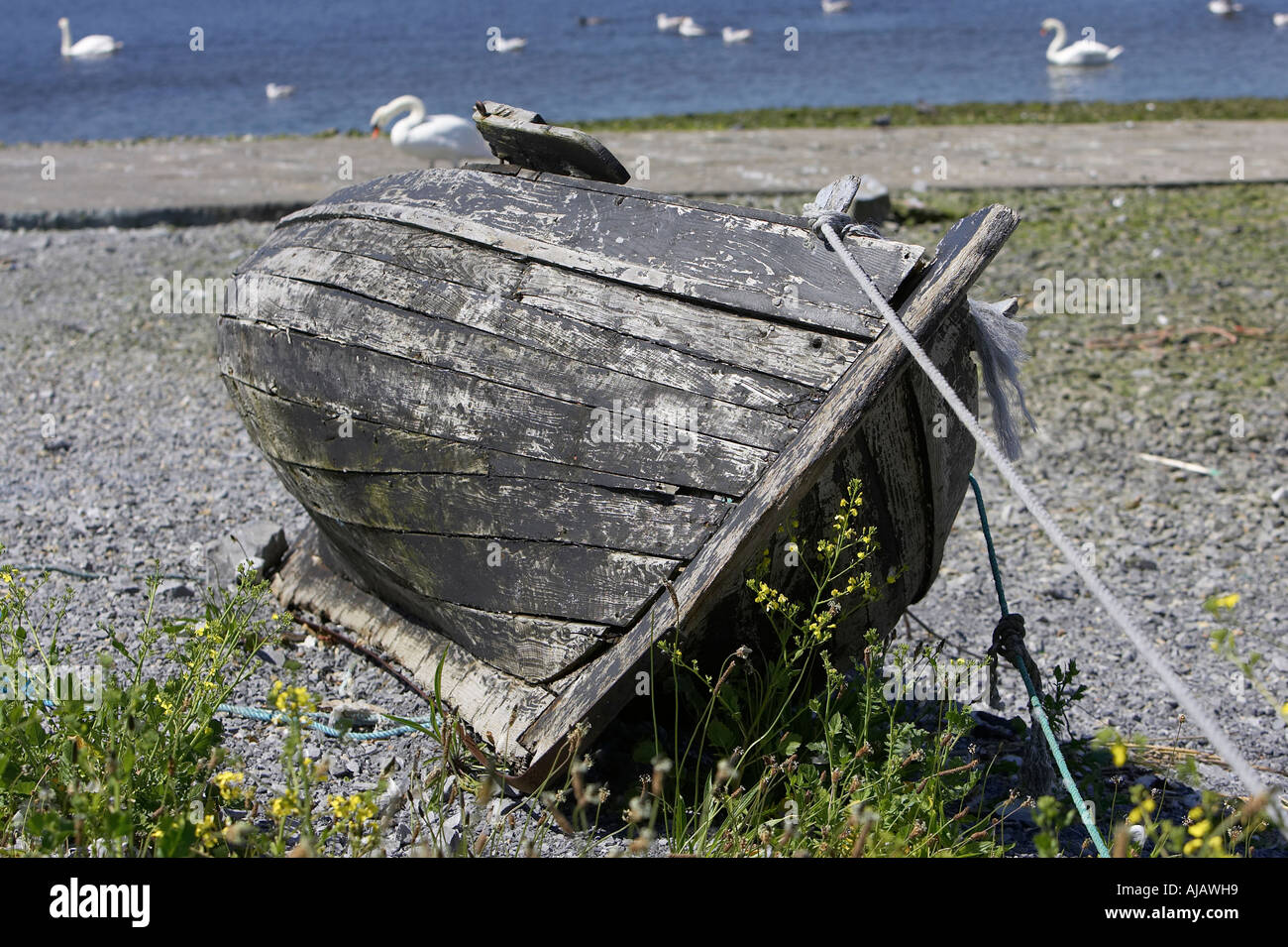 alten traditionellen Holzboot reparaturbedürftig gefesselt am Ufer am Corrib River in der Nähe von Hafen Stockfoto