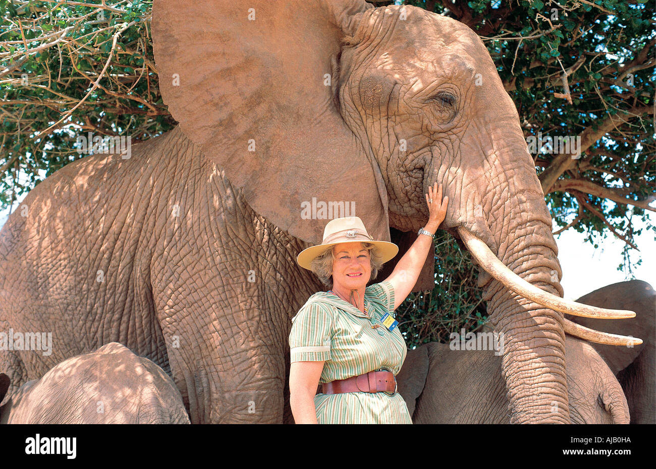 Daphne Sheldrick mit dem Elefanten namens Eleanor die hob als Waise Tsavo East Nationalpark Kenia Stockfoto