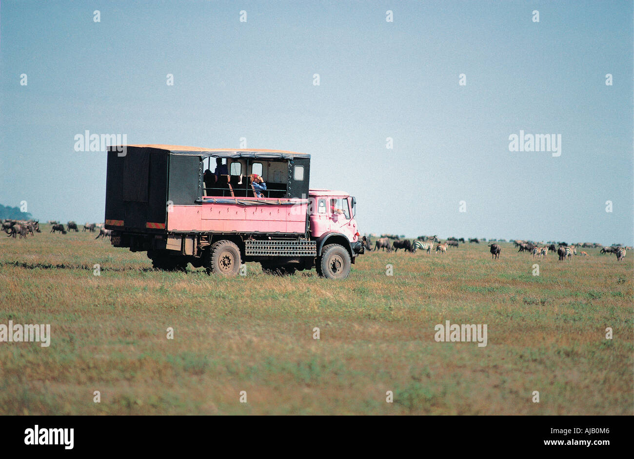 Spuren Überland LKW in der Nähe von gemischten Herden von Gnus und gemeinsame Zebra Serengeti Nationalpark Tansania Ostafrika Stockfoto