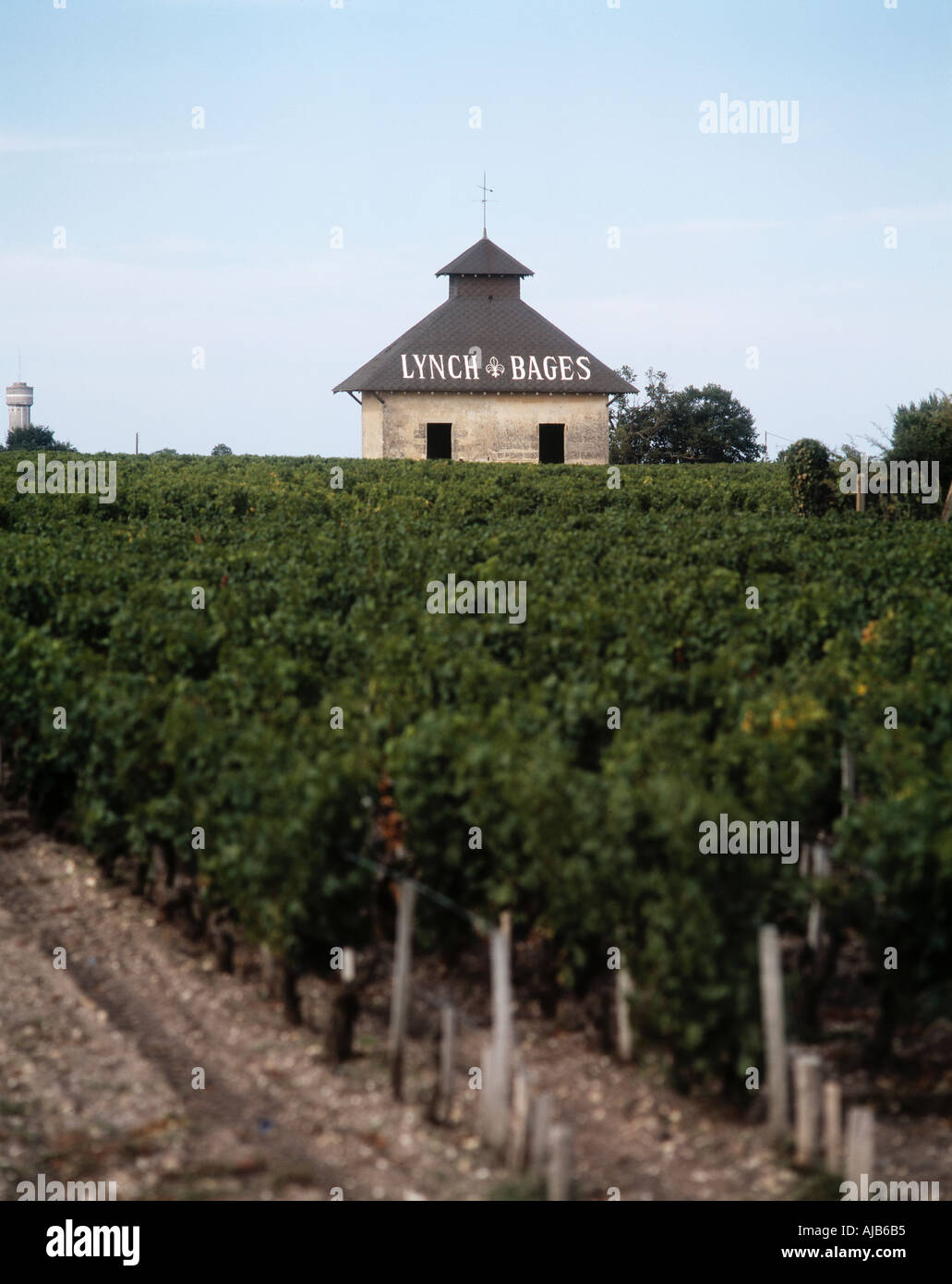 Gebäude im Weinberg von Château Lynch Bages Pauillac Frankreich Médoc Bordeaux Stockfoto