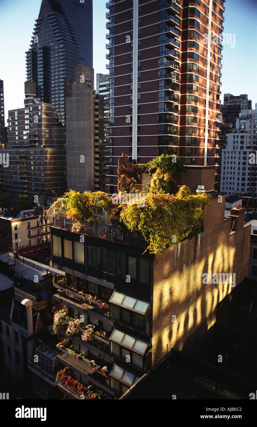 Roofgarden in New Yorks Midtown Bereich Stockfoto