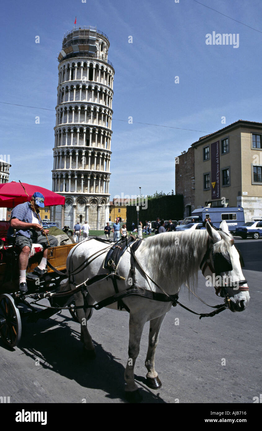 Pferd-Trainer vor der schiefe Turm von Pisa Stockfoto