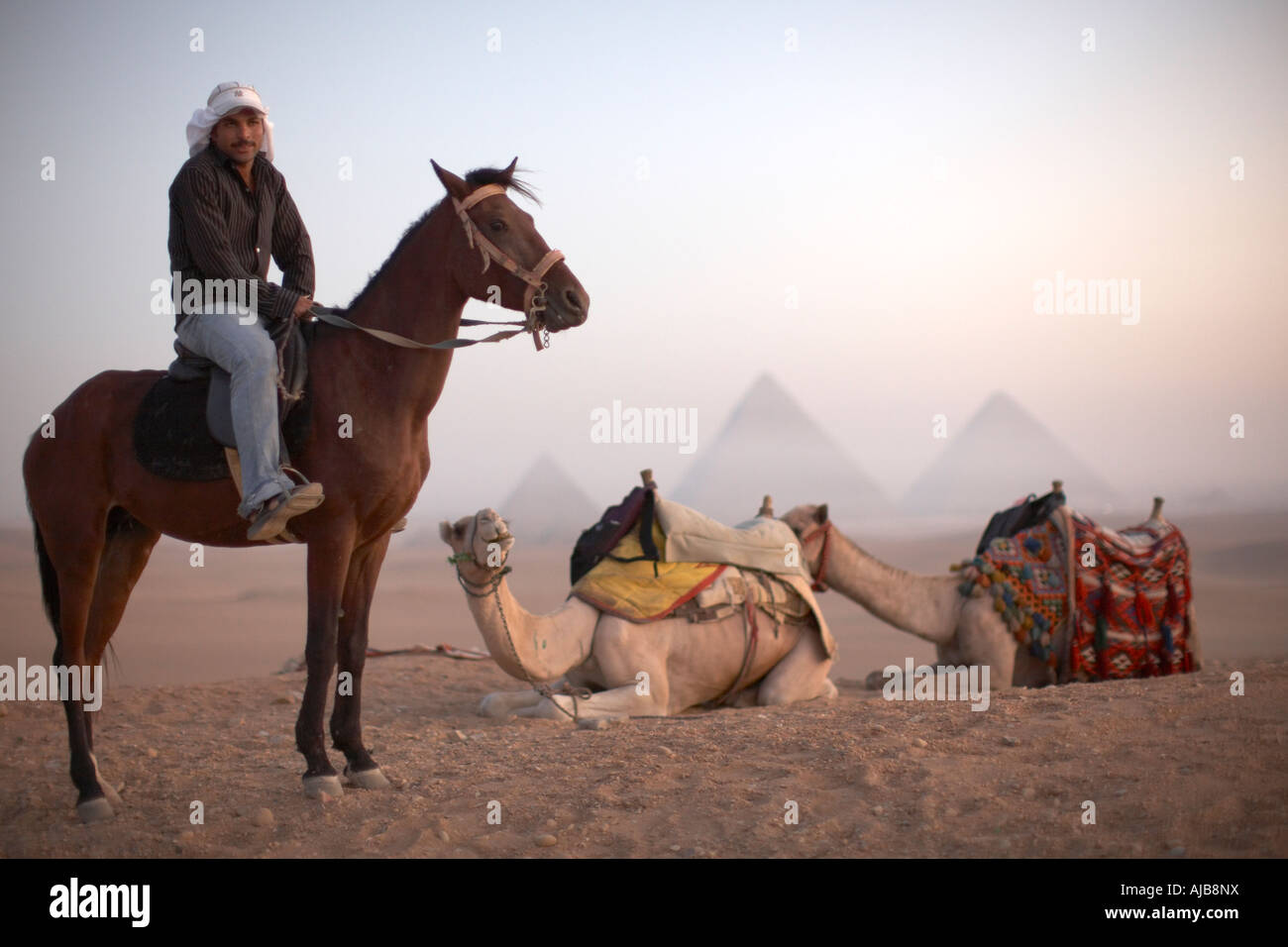 Pferd Reiter Guide mit touristischen Kamele sitzen im frühen Morgengrauen mit entfernten Pyramiden im Nebel der Dunst über Gizeh Kairo Ägypten Stockfoto