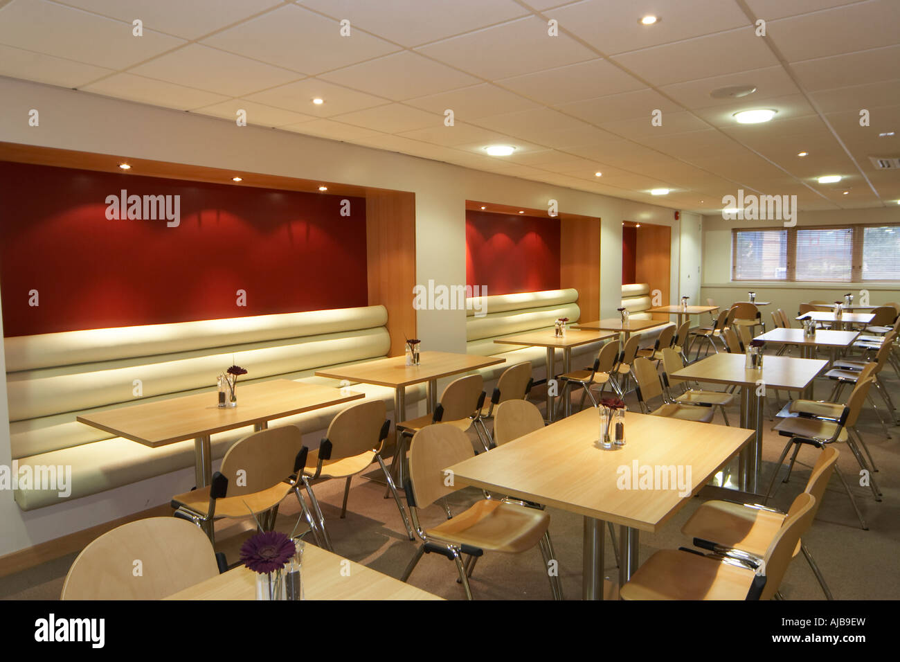 Büro-Kantine Speisesaal mit Holztischen und Stahl gestaltete Stühle Stockfoto