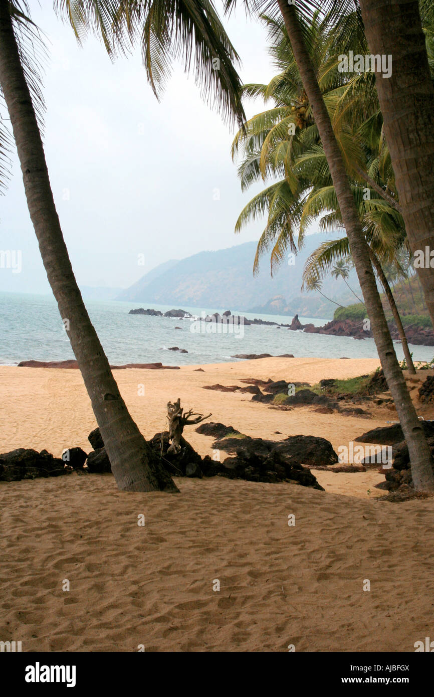 Cola-Strand in Goa Indien Stockfoto