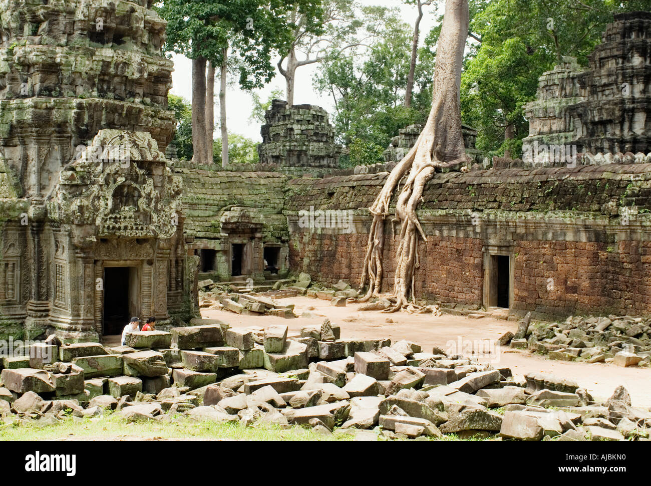 Kambodscha Ta Prohm Kapok Kapok Baumwurzeln wachsen über Tempelwand Angkor-Siem Reap Stockfoto