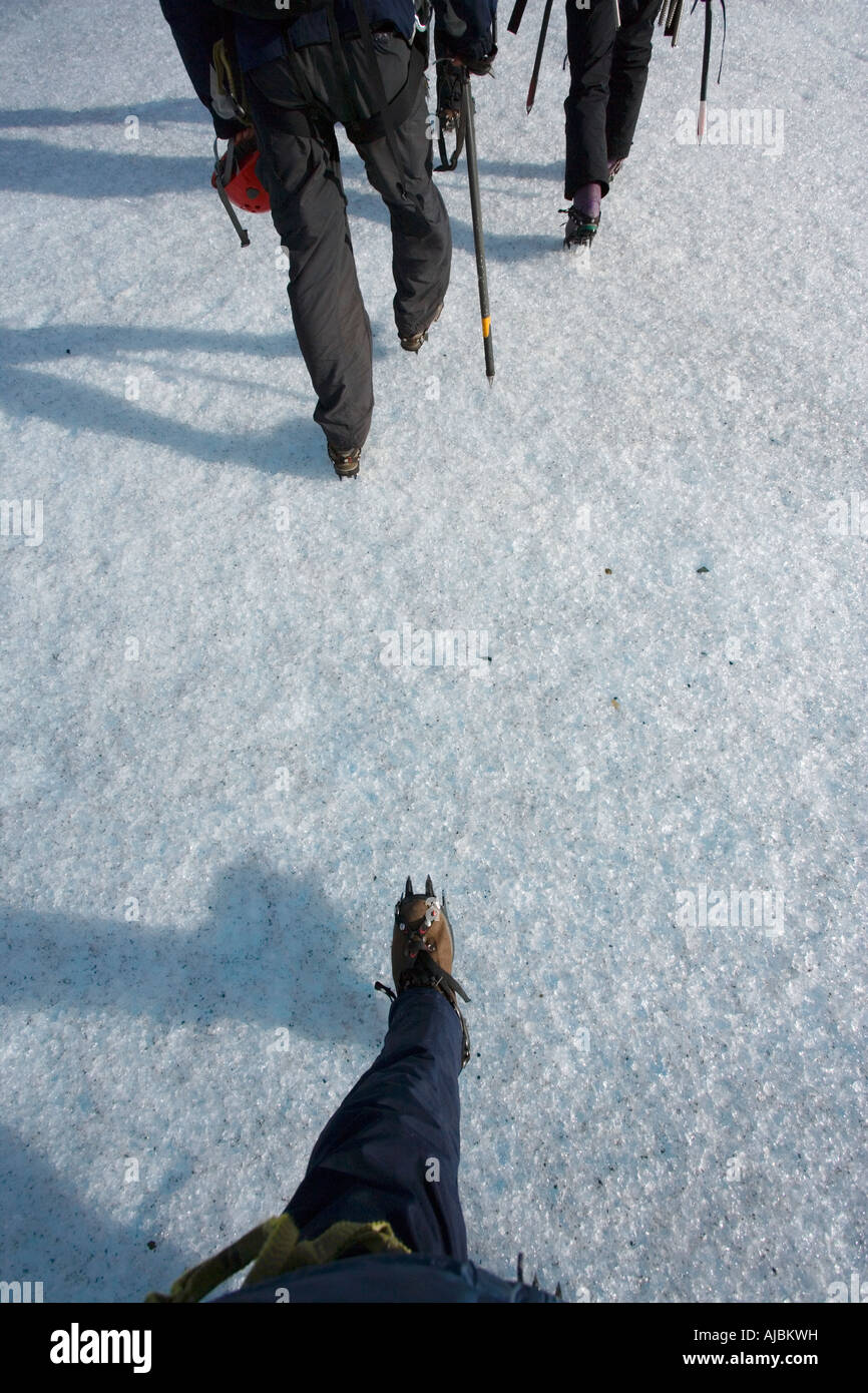 Ansicht der Wanderer zu Fuß auf Grey Gletscher - persönliche Sicht Stockfoto