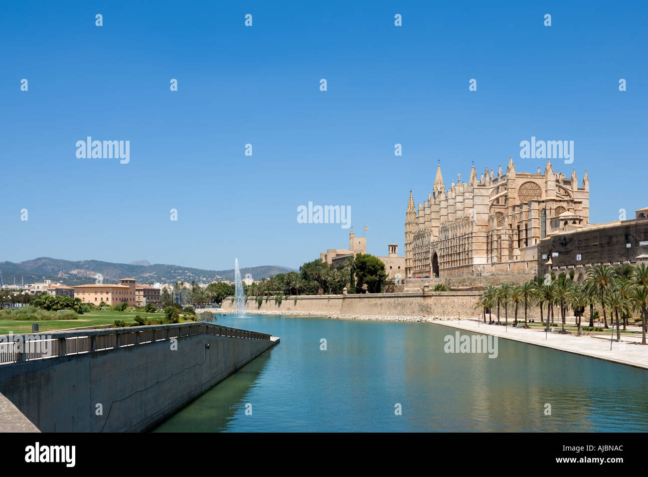 Parc De La Mar und der Kathedrale, historische Innenstadt, Palma, Mallorca, Spanien Stockfoto