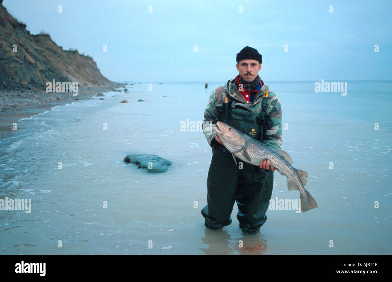 Dorsch, Kabeljau, Dorsch (Gadus Morrhua), Angler mit Fisch, Deutschland, Schleswig-Holstein Stockfoto