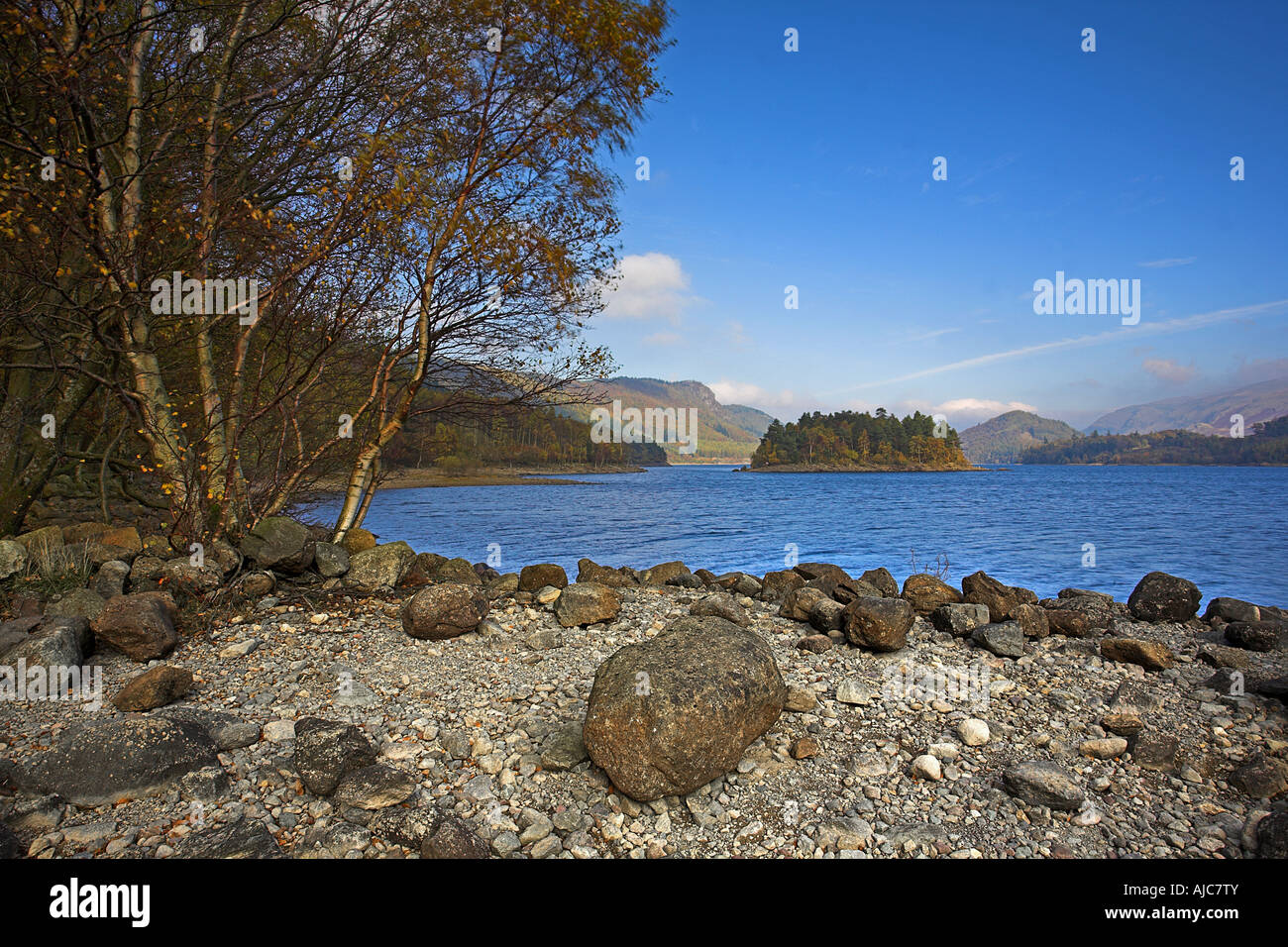 Blick auf eines der vielen Inseln von Thirlmere Reservoir mit Silber Birken im Vordergrund Seenplatte Cumbria Stockfoto