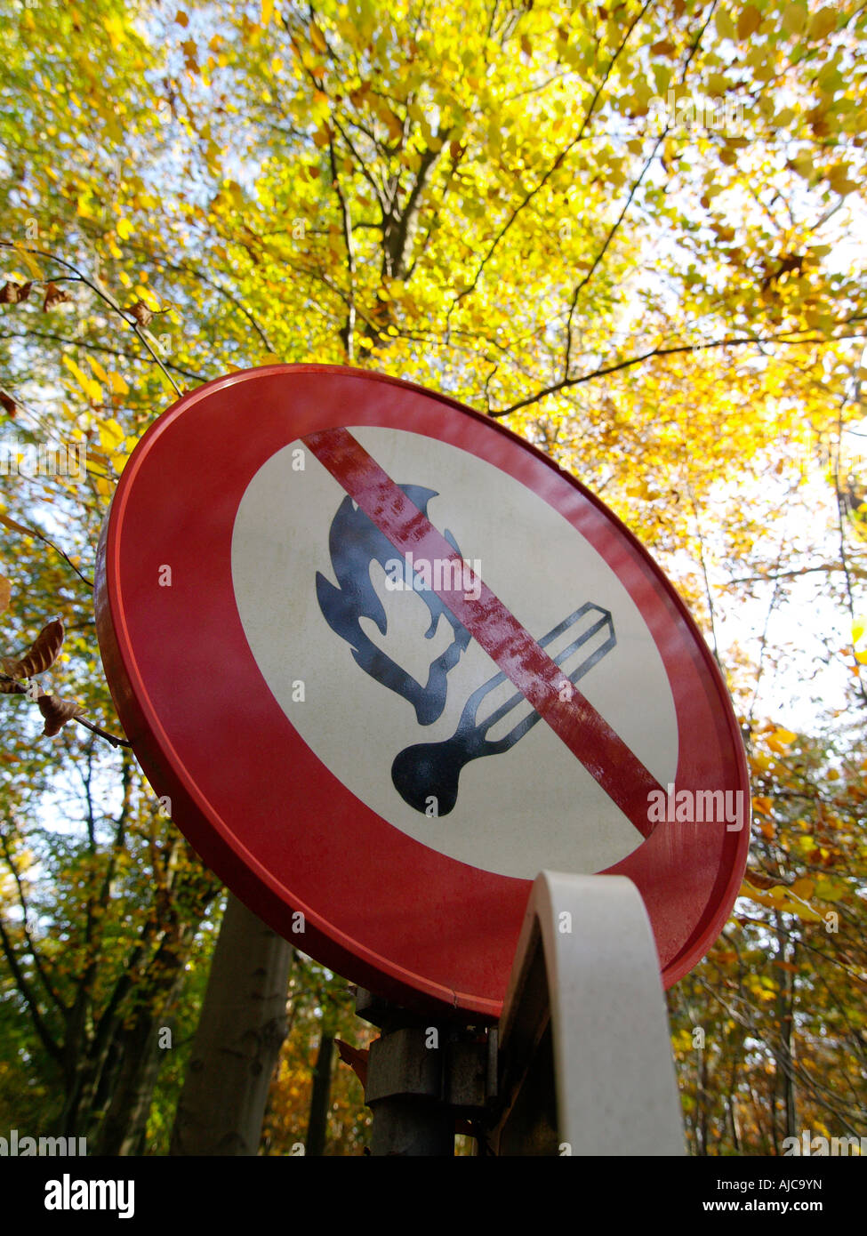 Kein Feuer erlaubt Zeichen im Wald Wald in Wouwse Plantage Noord Brabant den Niederlanden Stockfoto