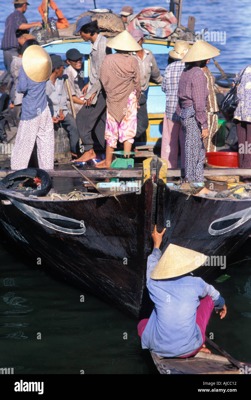 Die florierende Fischwirtschaft im Hoi an ein bietet reichlich Meeresfrüchten für die lokalen und touristischen Bevölkerung in Vietnam Stockfoto
