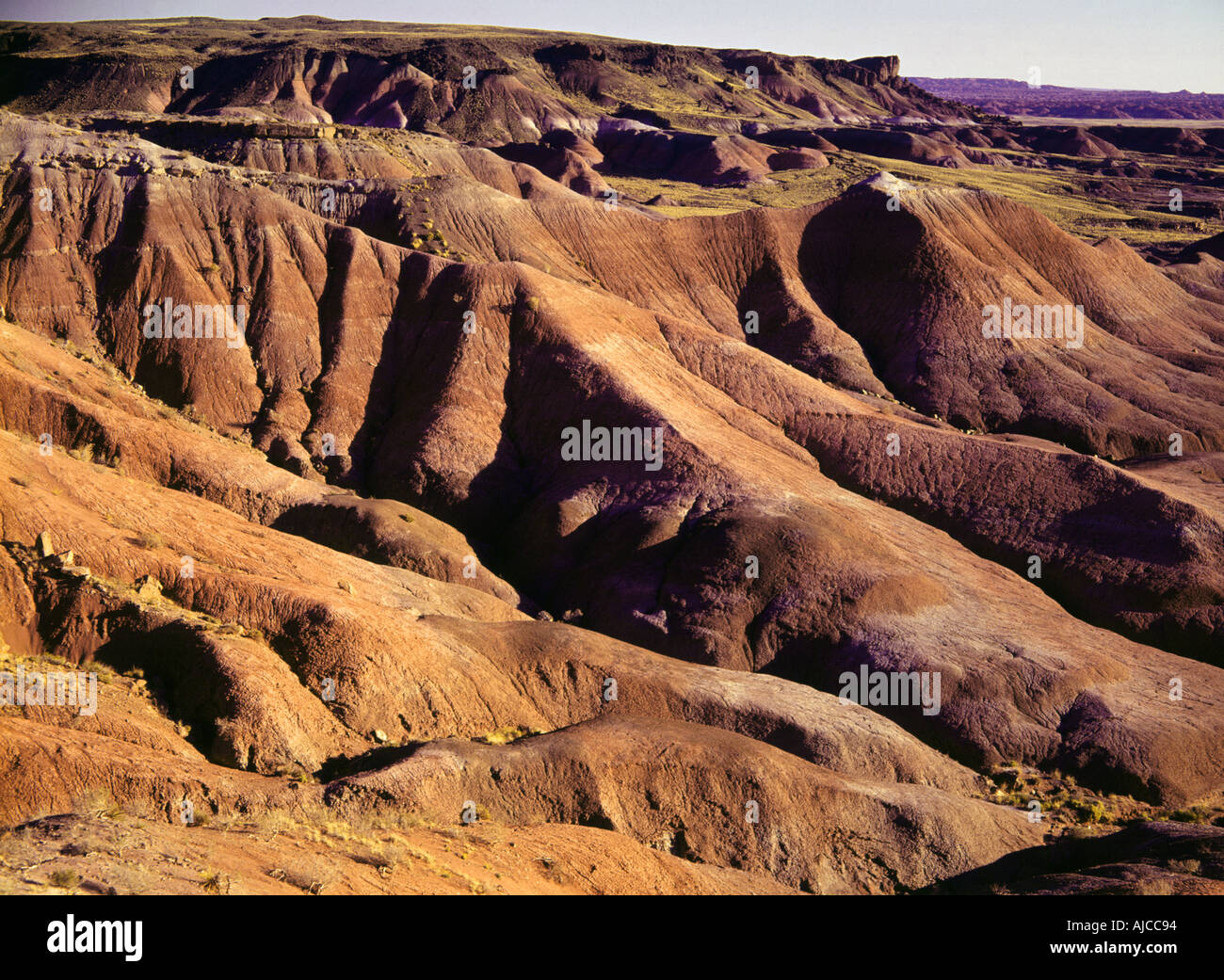 Painted Desert in der Nähe von Grand-Canyon-Nationalpark Arizona USA Stockfoto