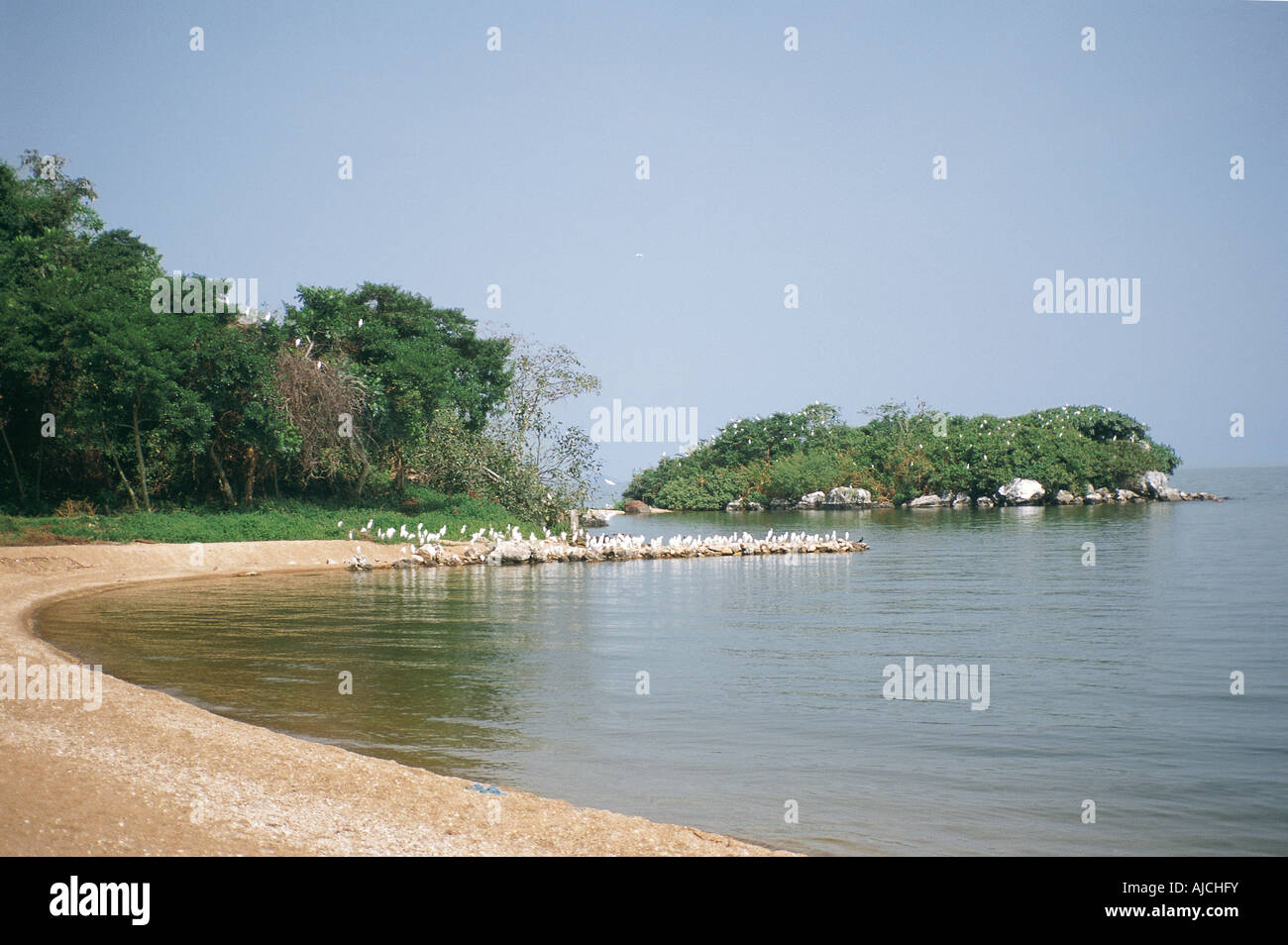 Der Strand von Banda-Insel eines der Ssese Inseln im Viktoriasee Uganda-Ost-Afrika Stockfoto
