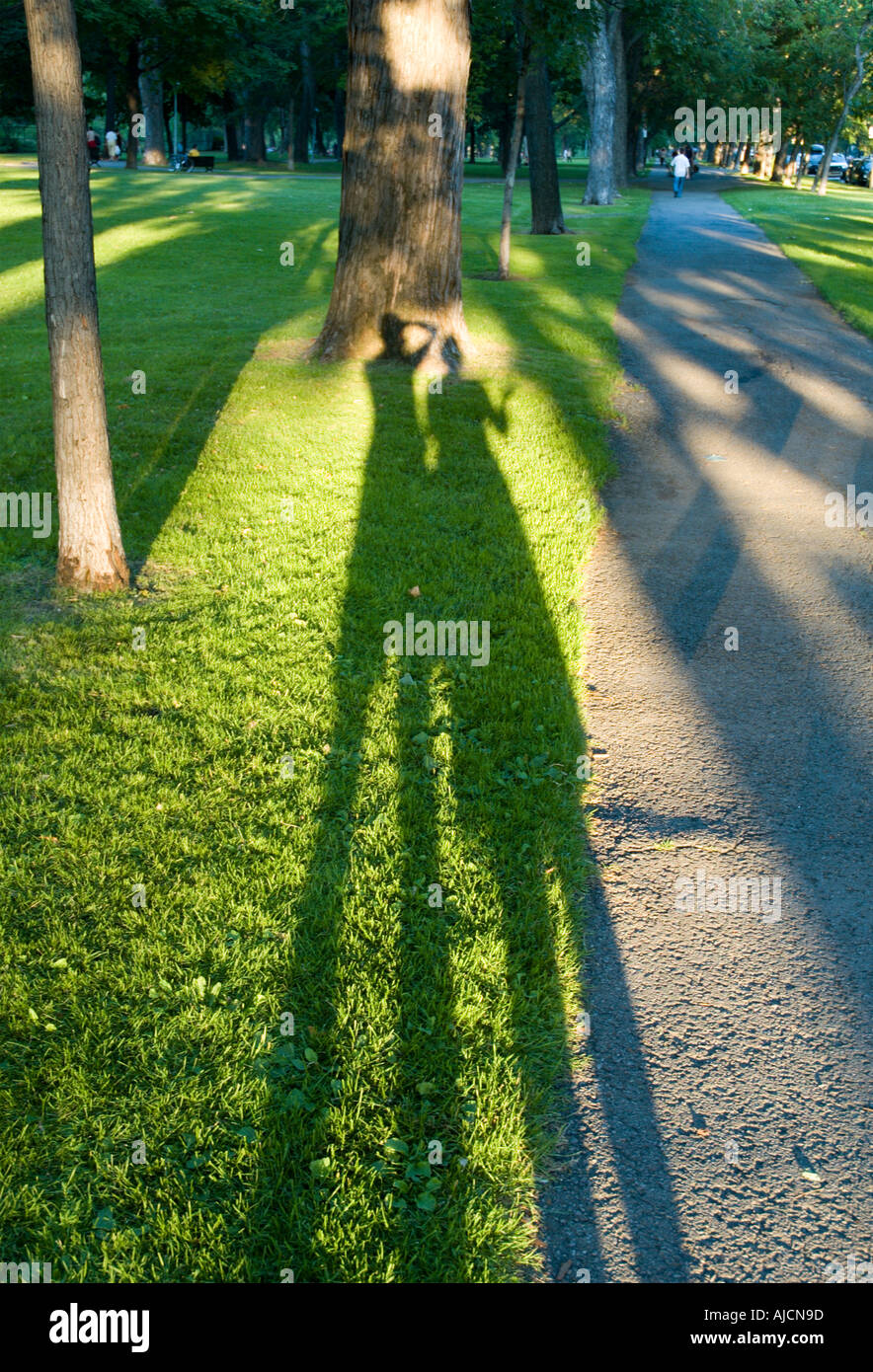 Ein paar Schatten im Lafontaine Park Montreal Sommer 2005 Stockfoto