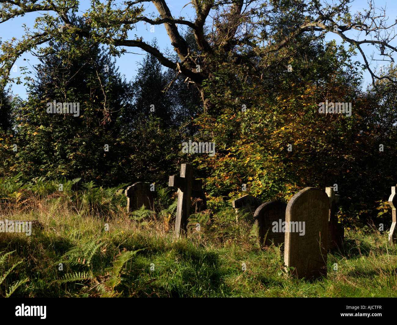Friedhof und Bracken im Herbst Dreifaltigkeitskirche Westcott Surrey England Stockfoto