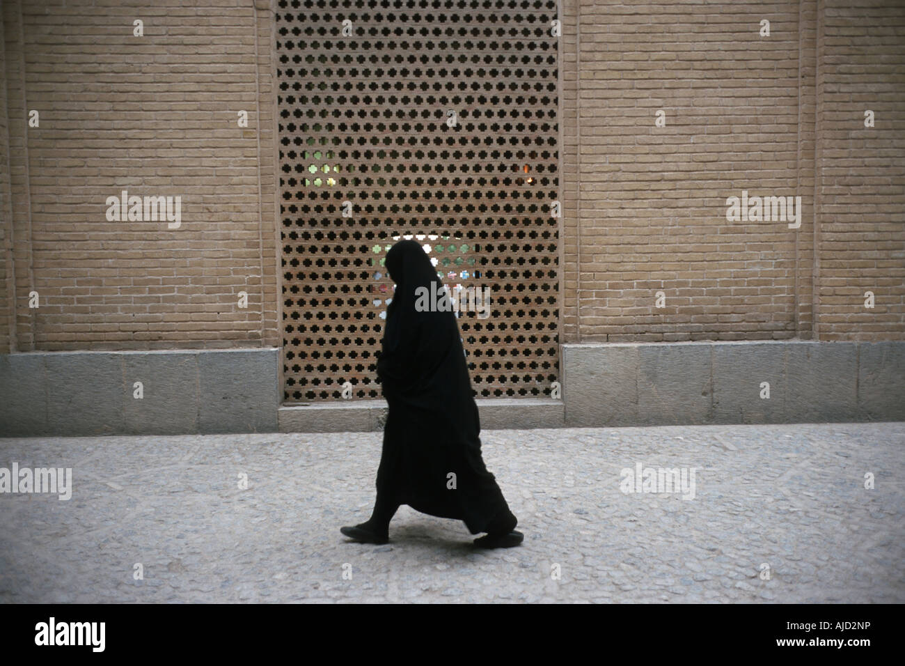 Frau mit Tschador, Bagh-e Fin, Kashan, Isfahan, Iran Stockfoto