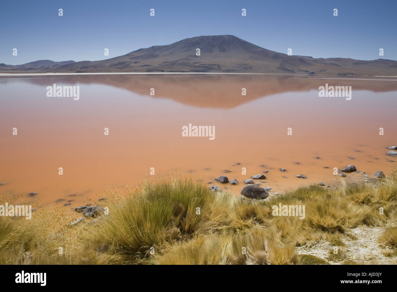 Blick auf Salz See Laguna Colorada, Bolivien Stockfoto