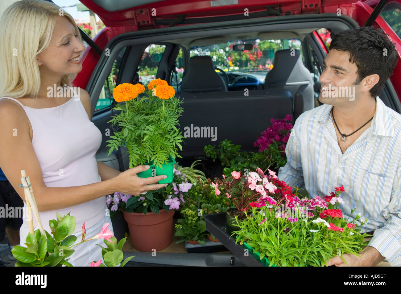 Paar-laden-Pflanzen in Minivan Stockfoto