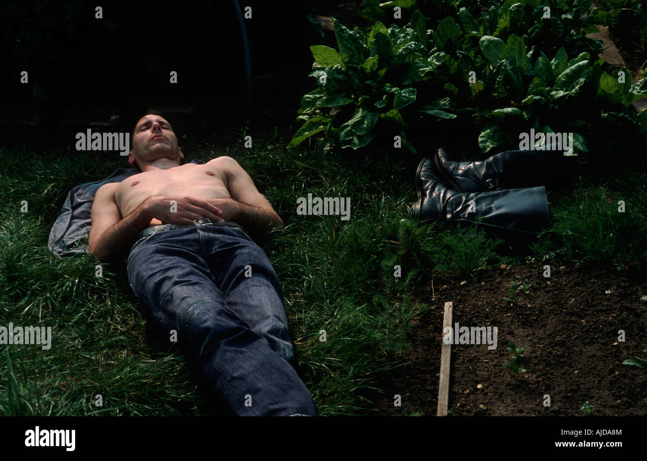 Man ruht in Allottment mit Hemd aus Stockfoto