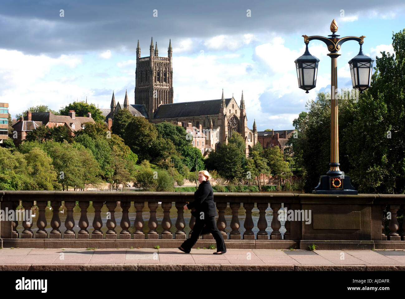 Worcester Kathedrale von Worcester Brücke, Worcestershire, England, UK Stockfoto