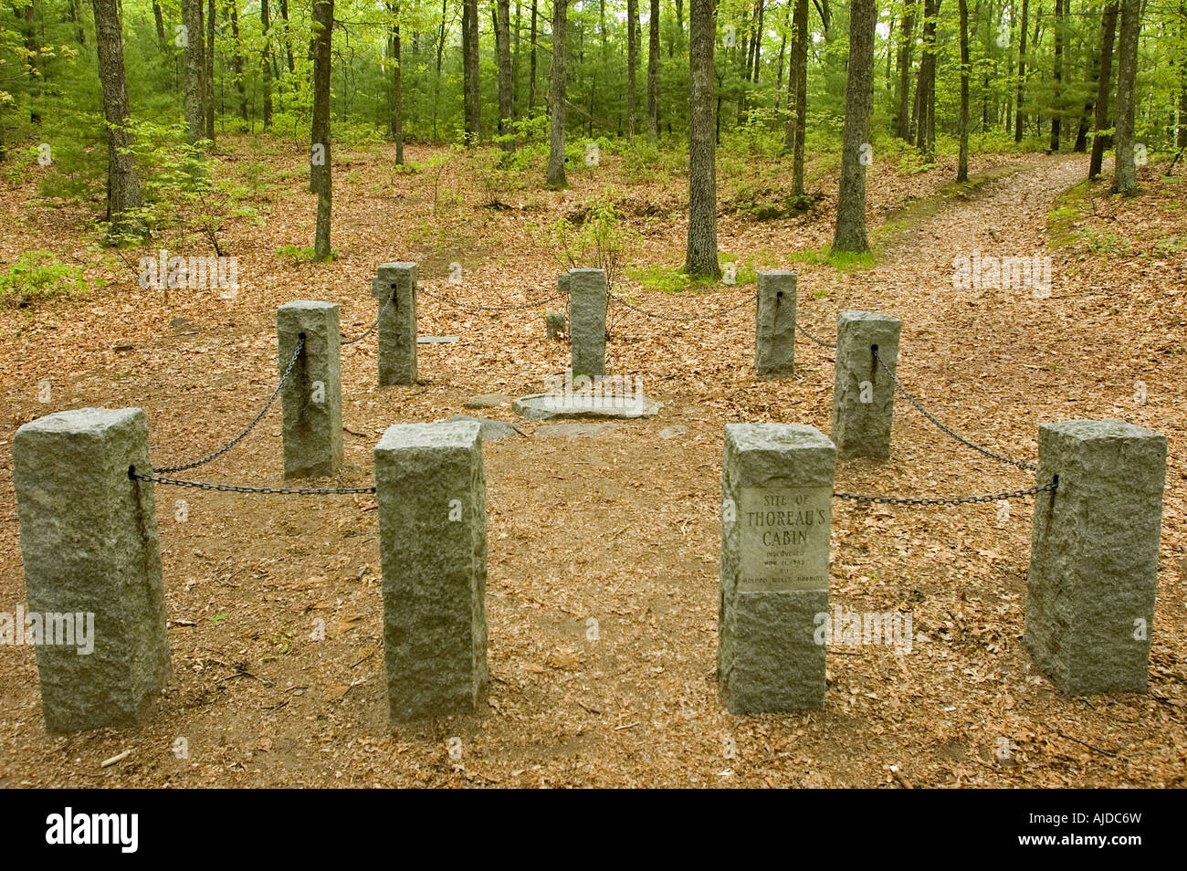 Concord MA Massachusetts Walden Pond State Reservation Original-Website von Thoreau s Haus Stockfoto