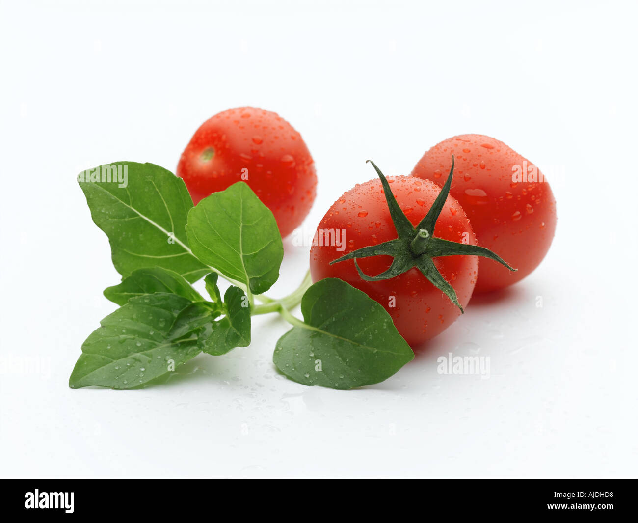 Tomaten und Basilikum Stockfoto