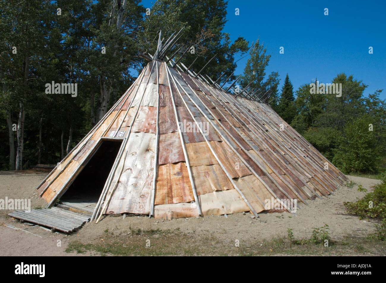 Eine traditionelle Familie Innu-Zelt machte der Birke Rinde und Baum-Stamm Papinachois Quebec Kanada Stockfoto