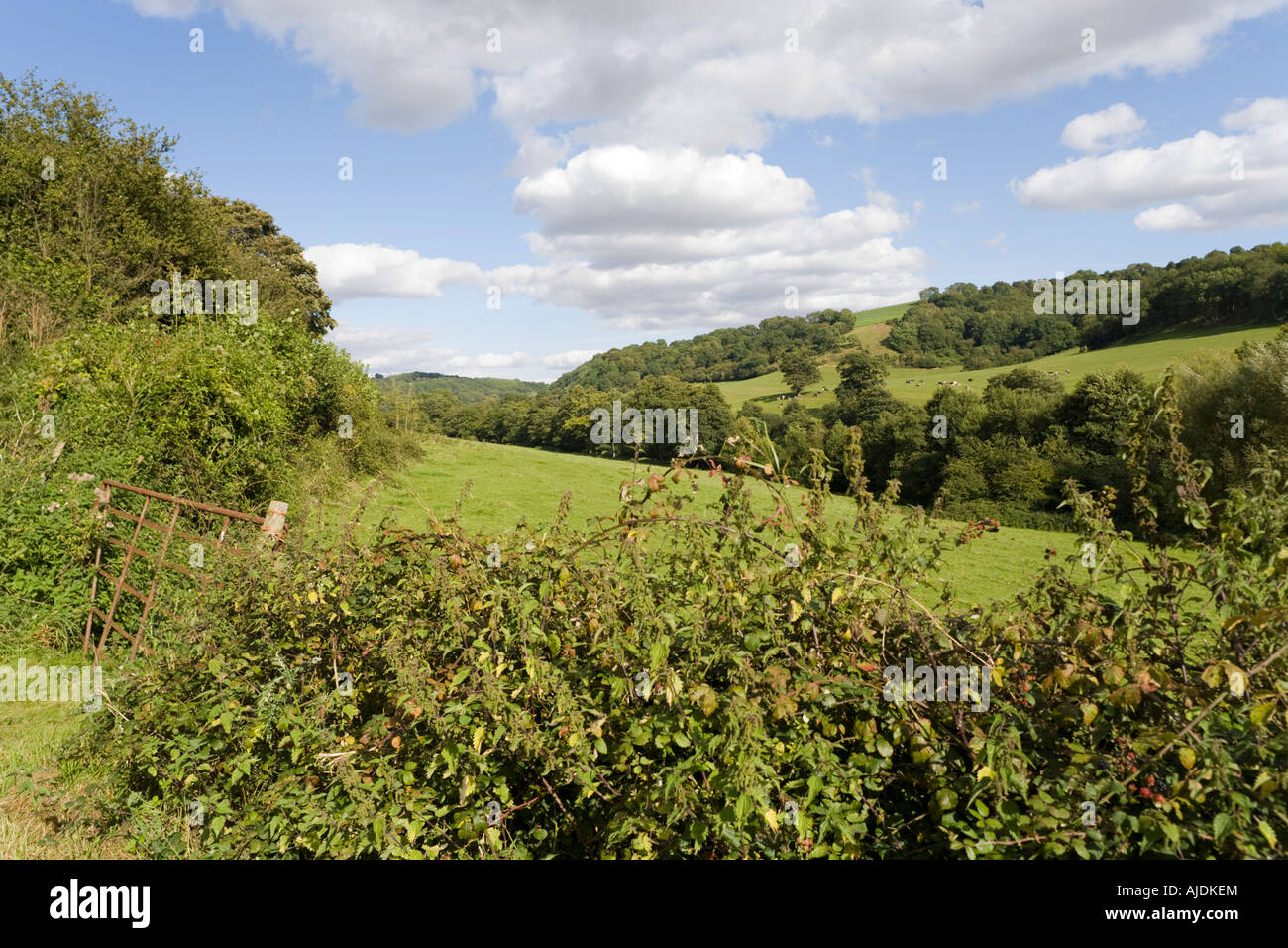 Die herrlich benannte Cotswold von Ozleworth Talsohle in der Nähe von Wotton unter Rand, Gloucestershire Stockfoto