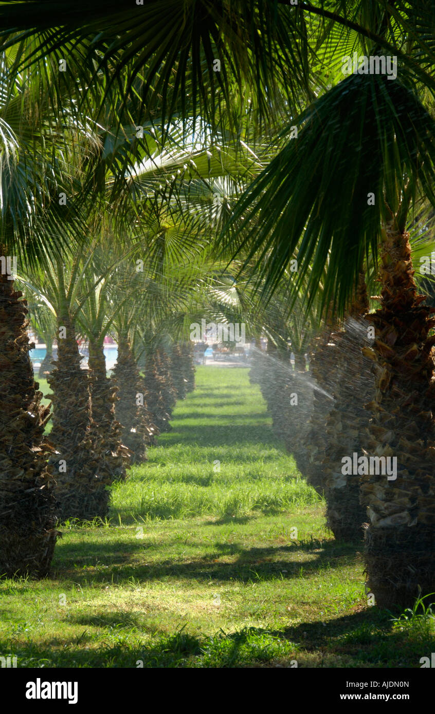 Garten des Hotels in Ayia Napa auf der Mittelmeer Insel Zypern EU automatische Bewässerungssystem bewässert werden Stockfoto