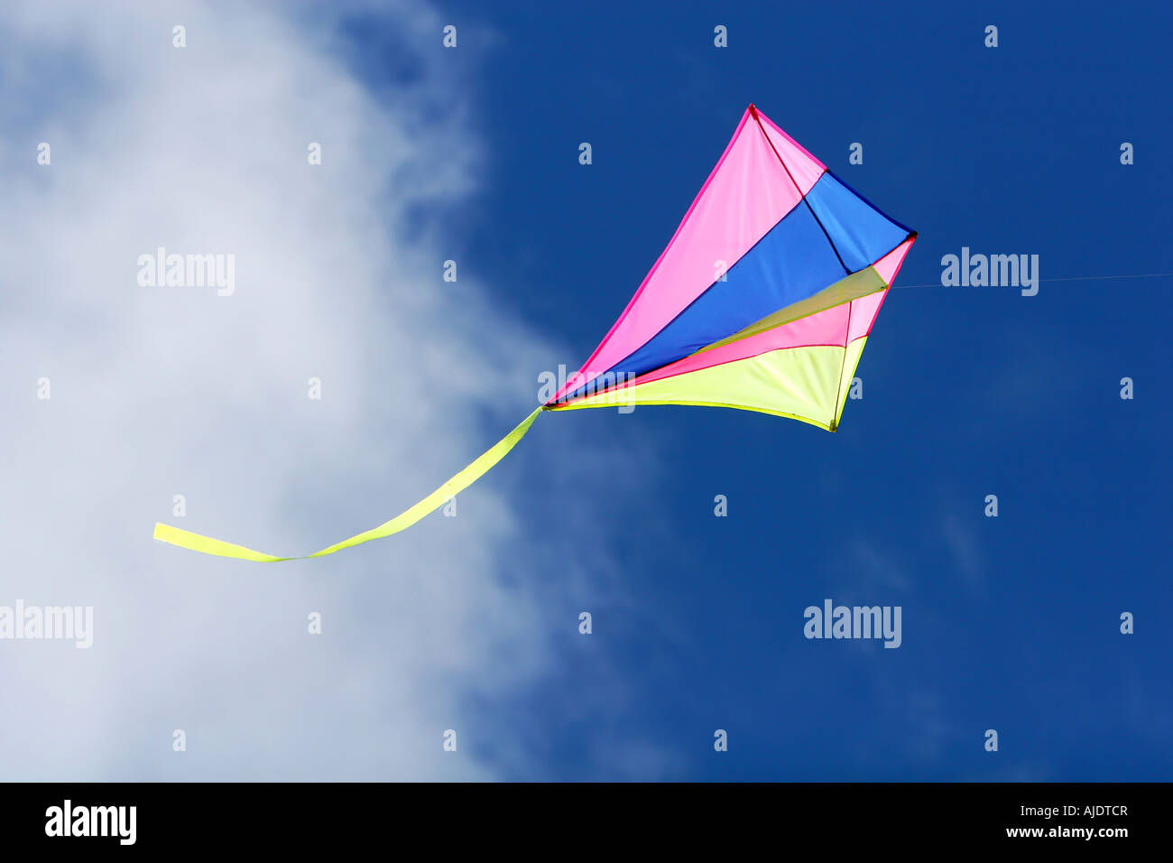 ein Drachenfliegen vor blauem Himmel im Sonnenlicht leuchtenden Farben und Streaming-tail Stockfoto