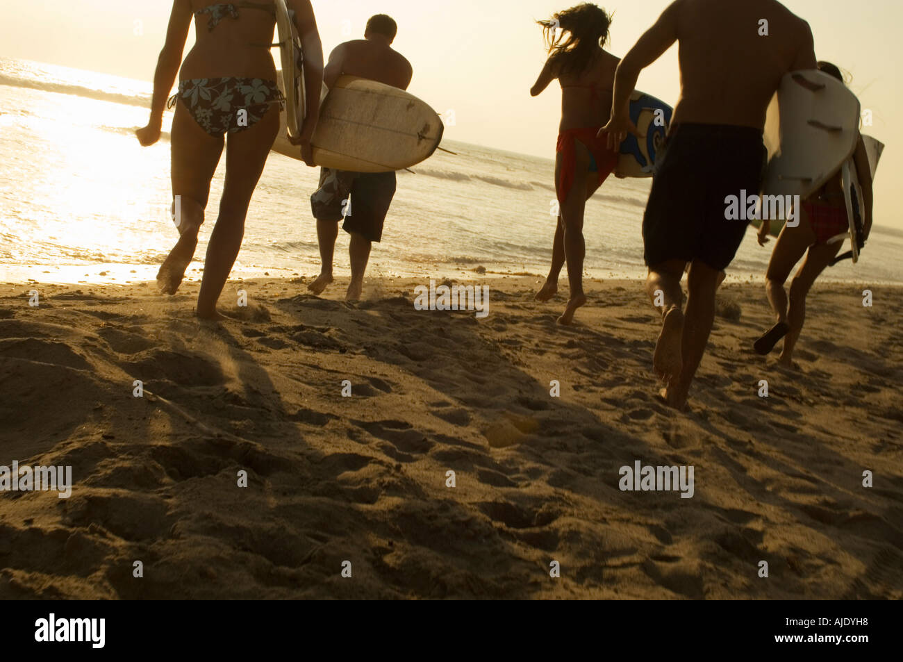 Fünf Surfer tragen Surfbretter am Strand bei Sonnenuntergang, Back view Stockfoto