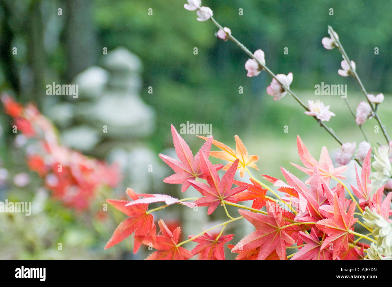 Blütenpracht an Mönchs-Schrein (Grab), Hieizan Enryakuji (Enryaku-Ji), Mount Hieizan (Hiei-Zan), Kyoto, Japan Stockfoto