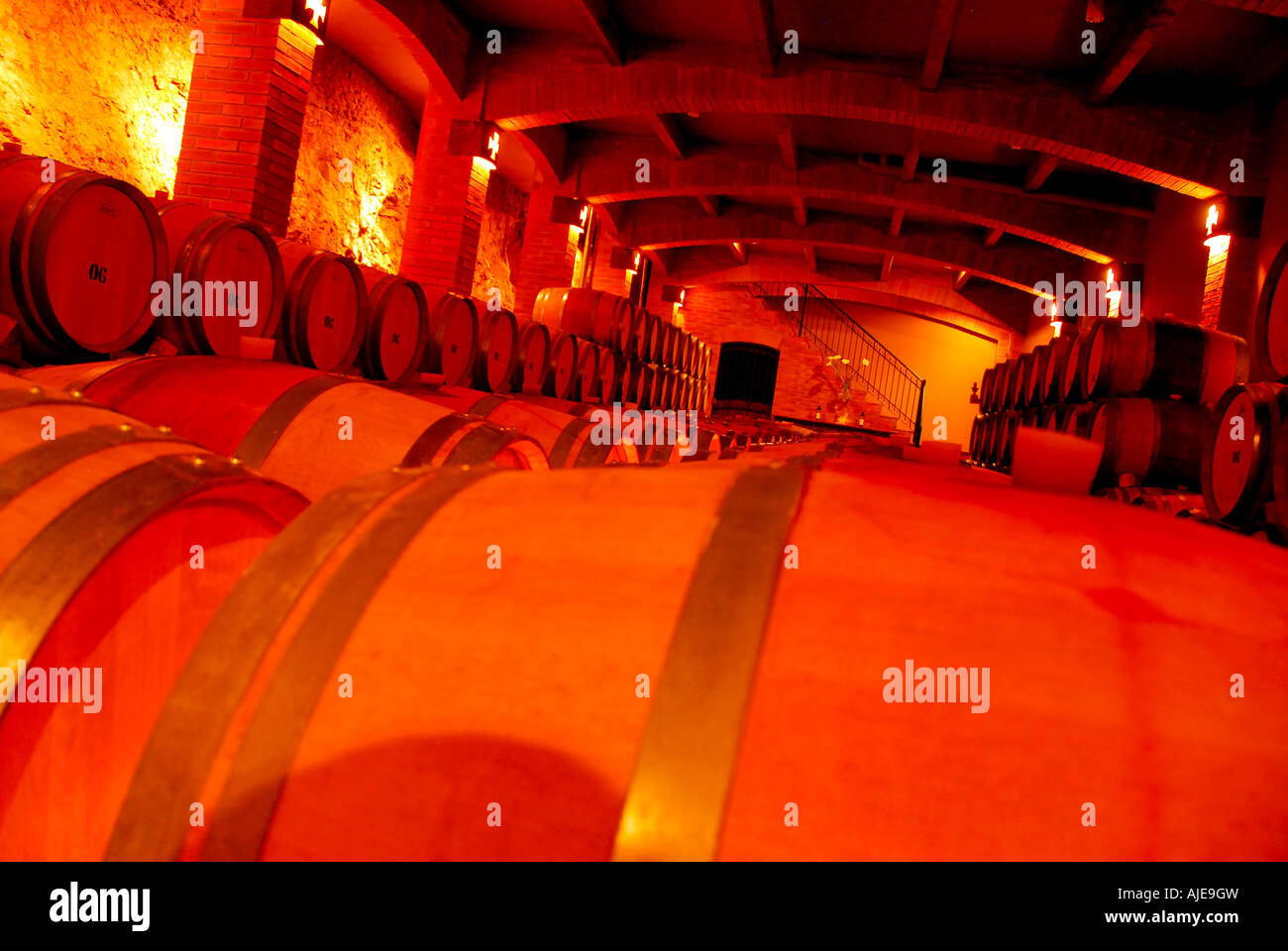 Chile, Santa Cruz Weingut Weinkeller mit Holz Wein Fässer Fässer, Colchagua Valley, berühmten chilenischen Wein Land produzieren Stockfoto