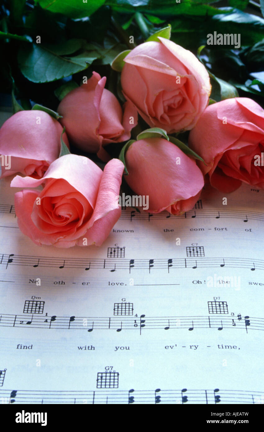 Stillleben mit rosa Rosen auf Musik-Buch Stockfoto