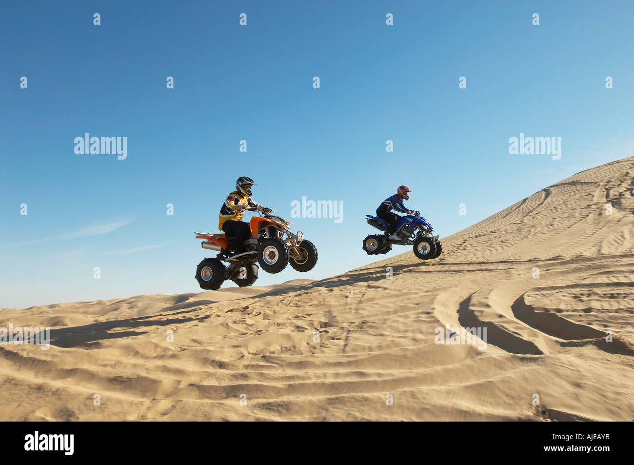Männer, die Wheelies auf Quad-Bikes in Wüste Stockfoto
