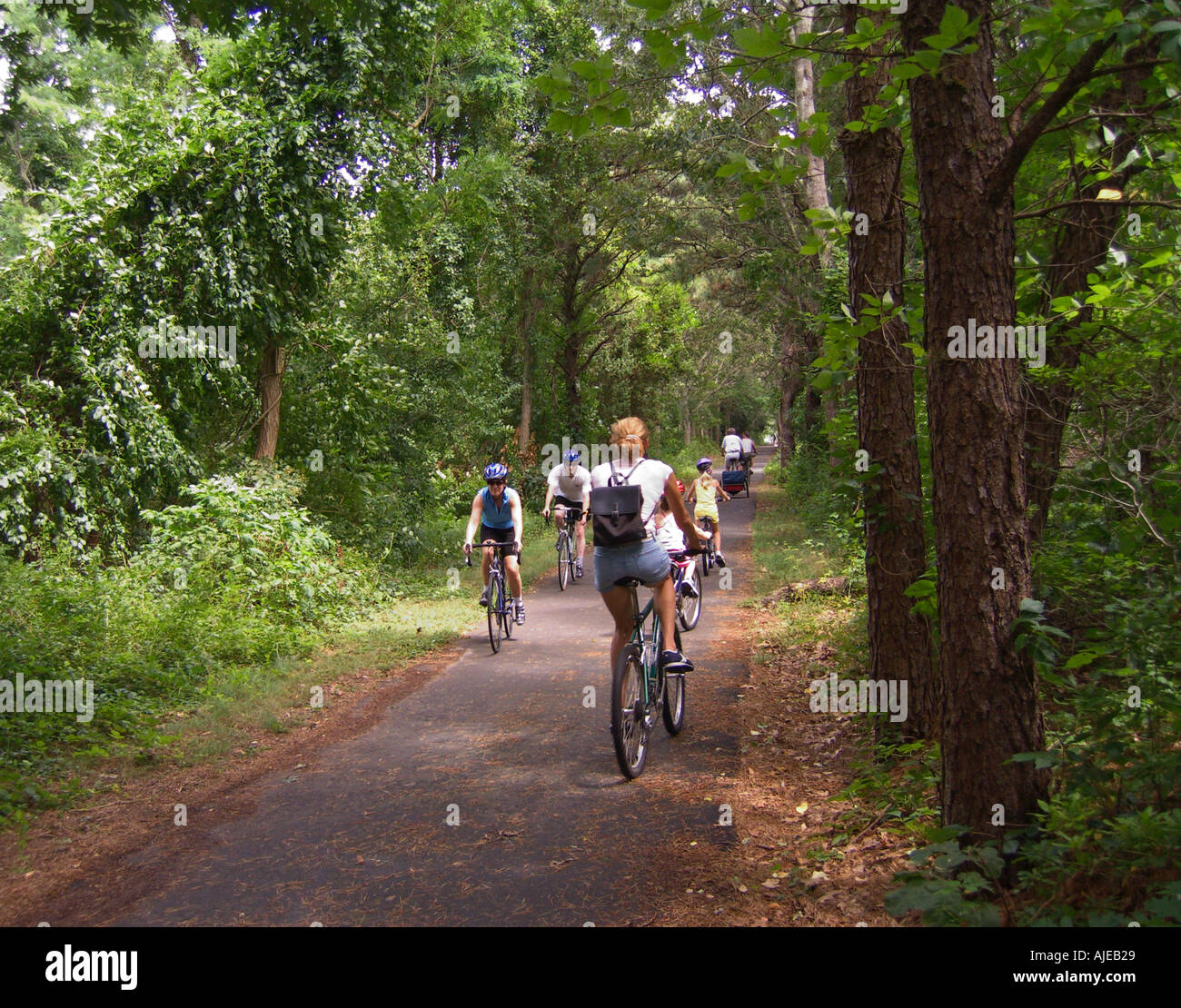 Massachusetts Cape Cod Familie Radfahren auf Cape Cod Rail Trail in der Nähe von Orleans Stockfoto