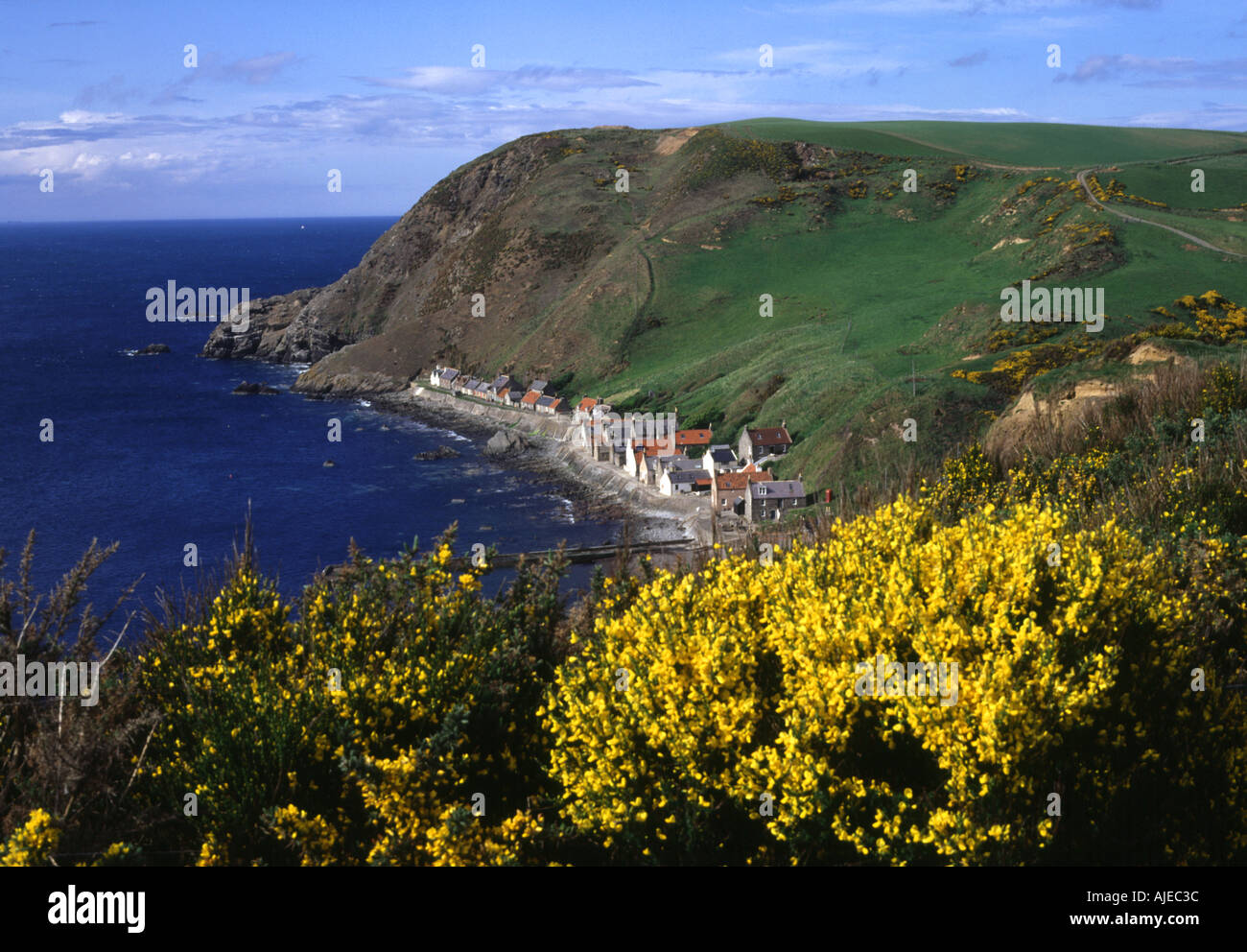 dh Gamrie Bay Moray Küste CROVIE DORF BANFFSHIRE SCHOTTLAND Gorse Büsche Fischerdörfer unter Landzunge eingebettet Stockfoto